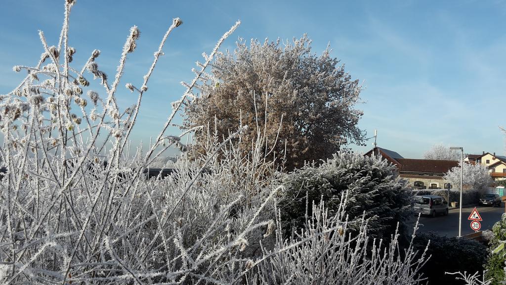 Gaeste-Haus Roesch Wiesent Dış mekan fotoğraf